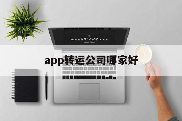 app转运公司哪家好