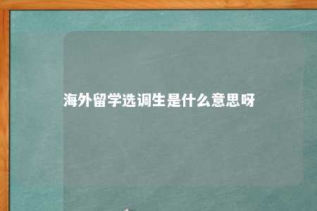 海外留学选调生是什么意思呀